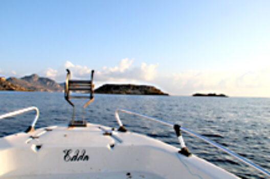 baner5